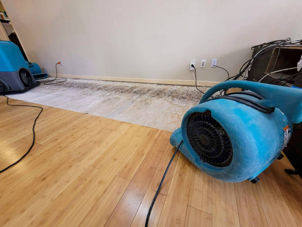 Professional Basement Flood Cleanup technician working in Alum Creek, WV
